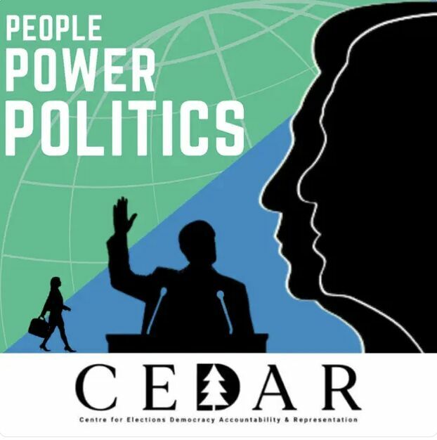 Is Democracy Failing to Deliver?